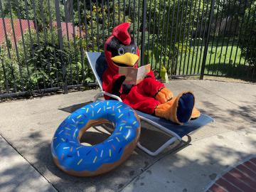 Abingdon Cardinal reading by the pool
