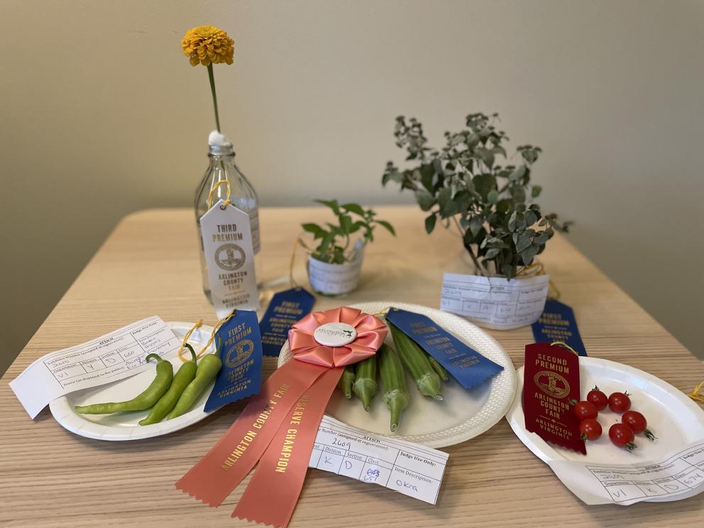 Prize-winning plants grown in Abingdon's garden