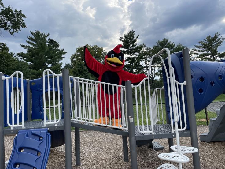 The Abingdon Cardinal on the Abingdon playground
