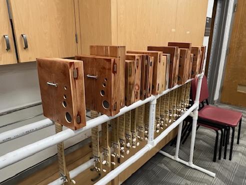 Ukuleles