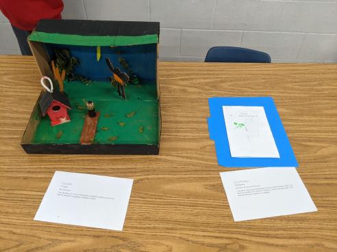 Photo from the Reflections Art Show