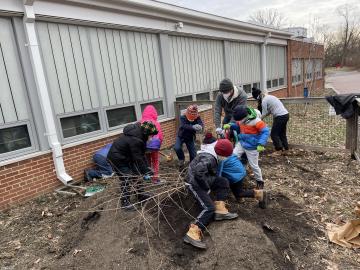 Children and parents digging out a weed from a pile of dirt